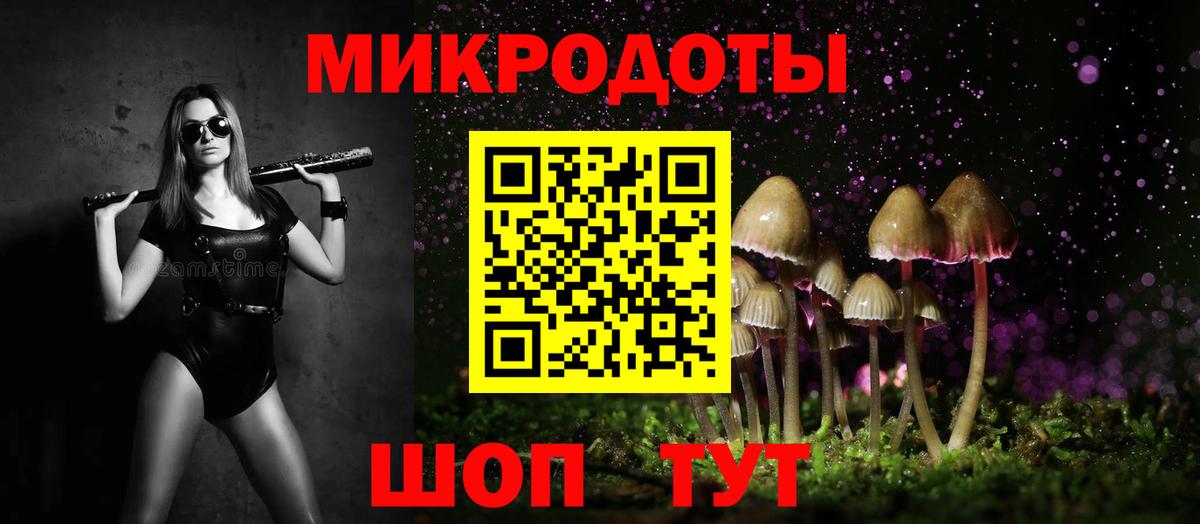 Псилоцибиновые грибы мицелий Саянск